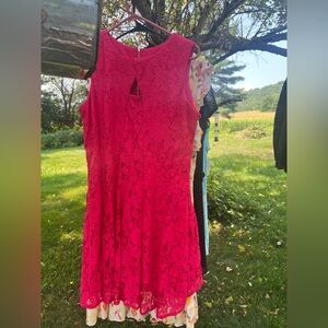 Dress Barn Pink Lace Midi Dress